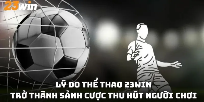 Lý do thể thao 23win thu hút hàng triệu người tham gia