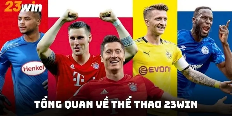 Tổng quan về sảnh thể thao 23win ưu việt trên thị trường